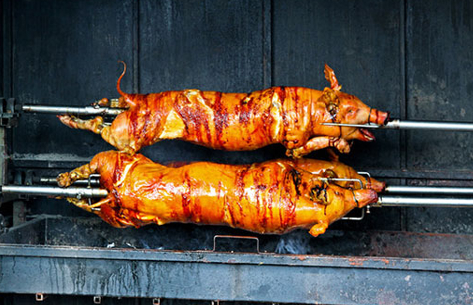 Pig Roasts NewEngland Pig Roast Caterers, Corporate Catering